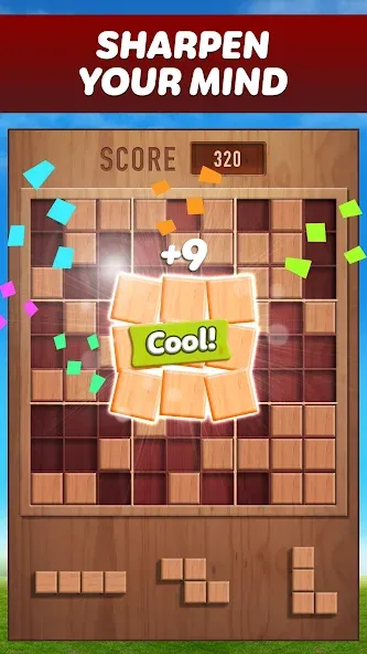 Woody 99 - Sudoku Block Puzzle (Вуди 99)  [МОД Бесконечные деньги] Screenshot 1