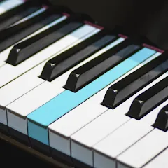 Скачать взломанную Real Piano electronic keyboard (Риал Пиано)  [МОД Unlocked] - стабильная версия apk на Андроид