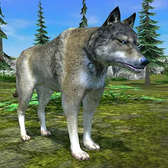 Взлом Wolf Simulator - Animal Games  [МОД Unlimited Money] - полная версия apk на Андроид