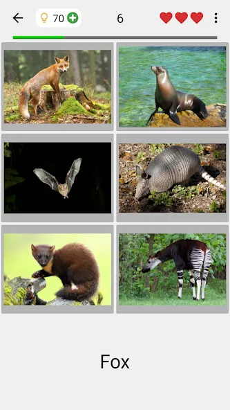 Animals Quiz Learn All Mammals  [МОД Бесконечные монеты] Screenshot 2