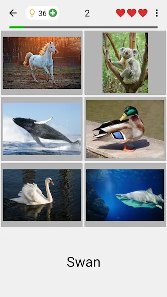 Guess Pictures and Words Quiz  [МОД Бесконечные деньги] Screenshot 2