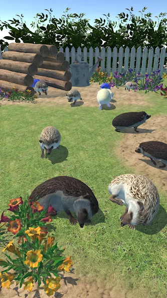 Hedgehog Friends (Хеджхог Френдс)  [МОД Много денег] Screenshot 1