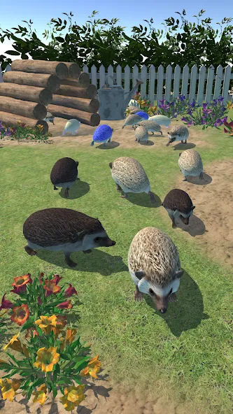 Hedgehog Friends (Хеджхог Френдс)  [МОД Много денег] Screenshot 3