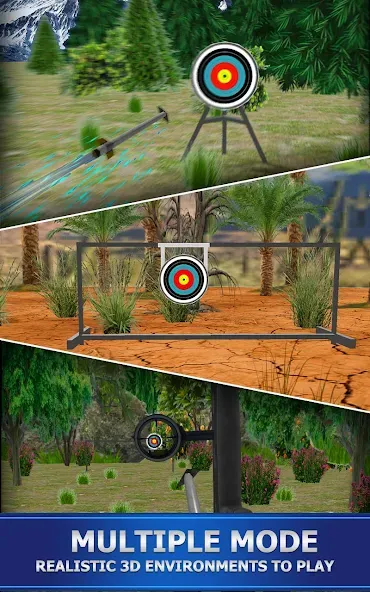 Archery Shoot  [МОД Mega Pack] Screenshot 1