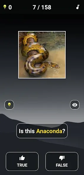 Animal Quiz: Guess the Animal  [МОД Все открыто] Screenshot 3