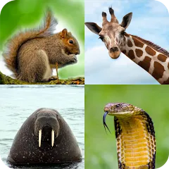 Взлом Animal Quiz: Guess the Animal  [МОД Все открыто] - стабильная версия apk на Андроид