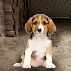Скачать взлом My Pet Animal Shelter World  [МОД Unlocked] - последняя версия apk на Андроид