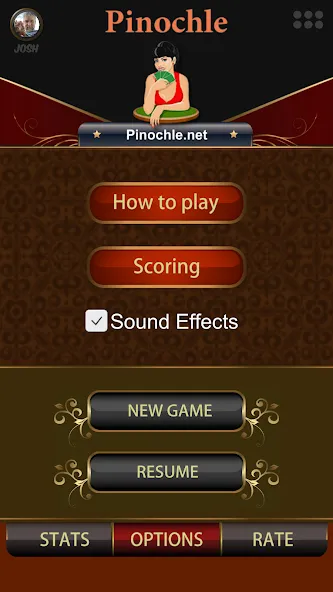 Pinochle.Net  [МОД Много монет] Screenshot 2