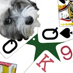 Скачать взломанную K9 Sheepshead (Schafkopf) (Шипсхед)  [МОД Menu] - полная версия apk на Андроид