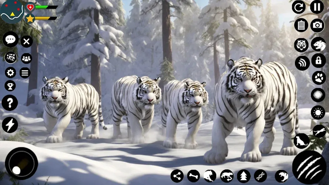 Arctic White Tiger Family Sim  [МОД Бесконечные деньги] Screenshot 4