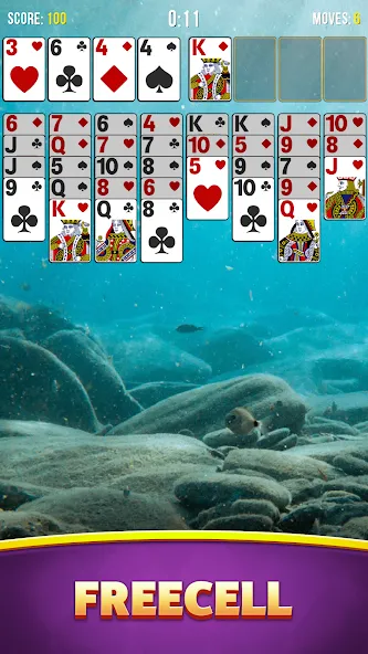 Solitaire Bliss Collection  [МОД Бесконечные деньги] Screenshot 4