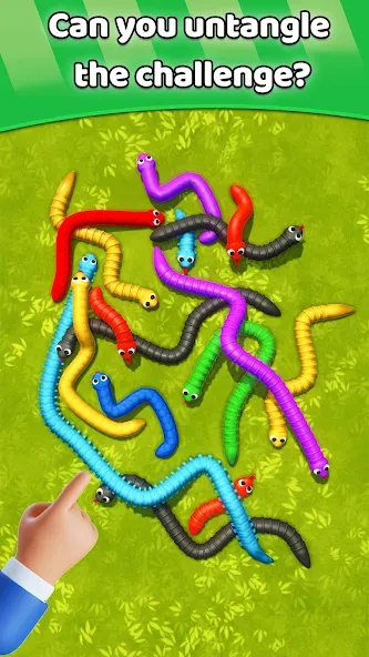 Tangled Snakes Puzzle Game (Танглед Снейк 3Д)  [МОД Много монет] Screenshot 5