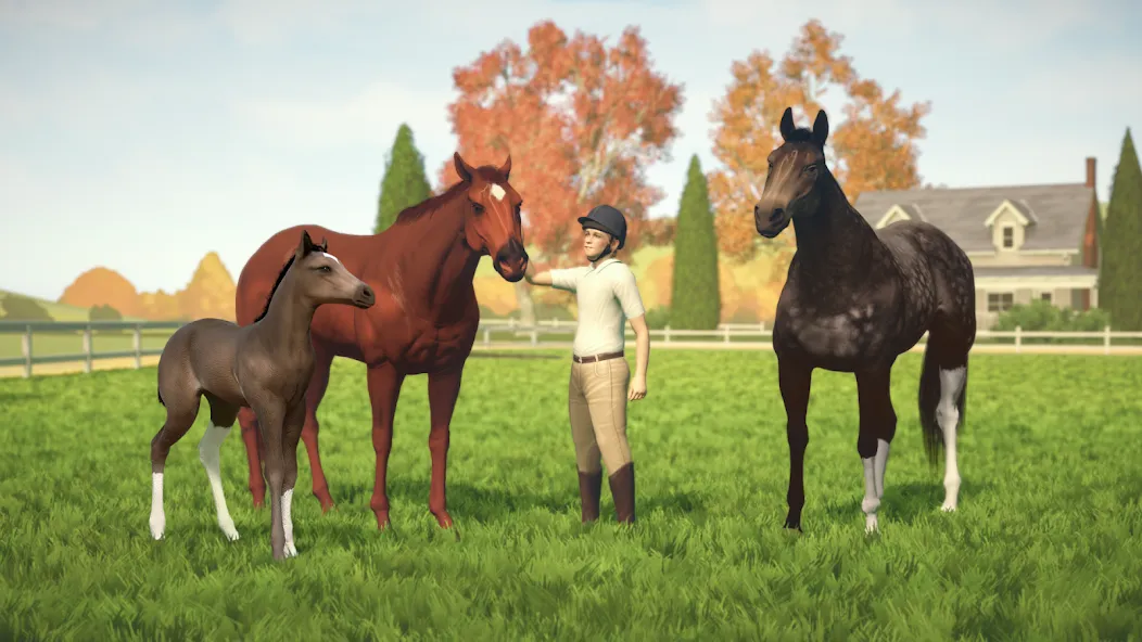 Rival Stars Horse Racing  [МОД Unlocked] Screenshot 5