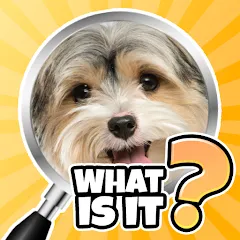 Скачать взломанную What is it? Pics Trivia Quiz  [МОД Unlocked] - стабильная версия apk на Андроид