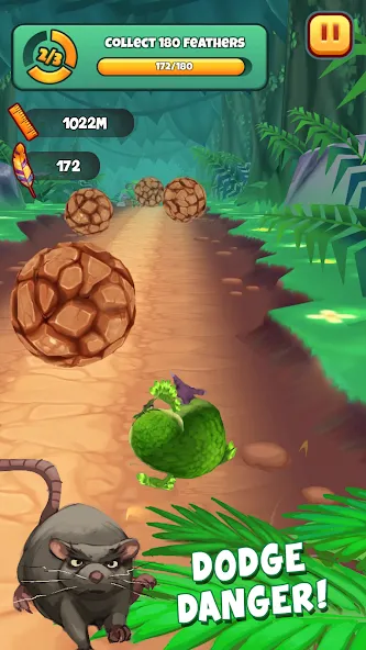 Kakapo Run: Animal Rescue Game (Какапо Ран)  [МОД Бесконечные монеты] Screenshot 4