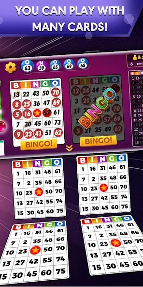 Bingo - Offline Bingo Game  [МОД Mega Pack] Screenshot 1