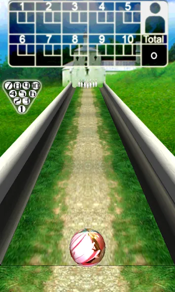 3D Bowling  [МОД Menu] Screenshot 4