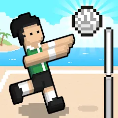 Скачать взломанную Volley Random (Воллей Рэндом)  [МОД Unlimited Money] - последняя версия apk на Андроид