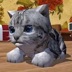 Взлом Cute Pocket Cat 3D (Сьют Покет Кэт 3Д)  [МОД Бесконечные деньги] - полная версия apk на Андроид