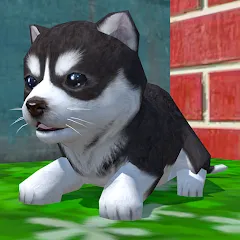 Взлом Cute Pocket Puppy 3D (Сьют Покет Паппи 3Д)  [МОД Все открыто] - стабильная версия apk на Андроид