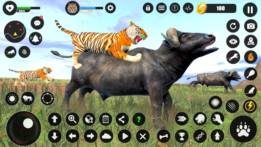 Tiger Simulator Animal Games (Тигровый симулятор  игры с животными)  [МОД Много денег] Screenshot 4