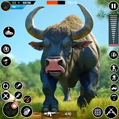 Взлом Wild Animal Deer Hunting Games (Охота на диких зверей с оружием  игры)  [МОД Много денег] - полная версия apk на Андроид