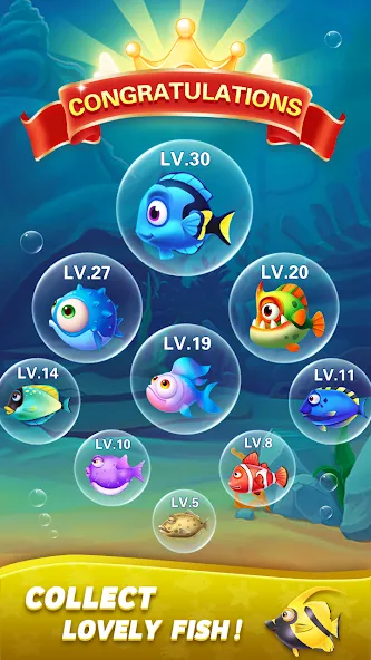 Block Ocean 1010 Puzzle Games (Блок Океан 1010 Головоломки)  [МОД Menu] Screenshot 5