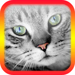 Взломанная Translator for Cats Prank  [МОД Бесконечные деньги] - стабильная версия apk на Андроид