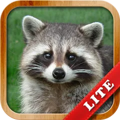 Скачать взломанную Animals for Kids  [МОД Меню] - полная версия apk на Андроид