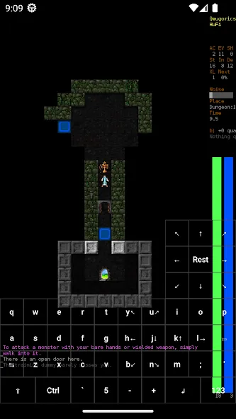 Dungeon Crawl Stone Soup (Данжен Кролл Стоун Суп)  [МОД Бесконечные деньги] Screenshot 3